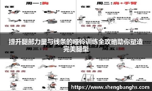 提升腿部力量与线条的哑铃训练全攻略助你塑造完美腿型